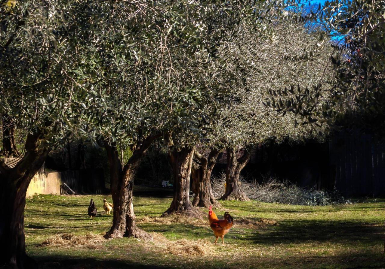 La Gemma Sul Lago Manerba del Garda Exterior foto